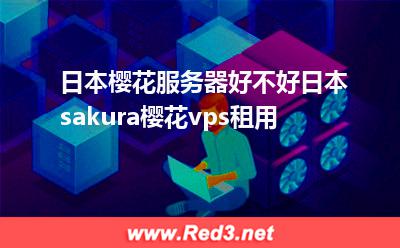 日本樱花服务器:日本樱花服务器好不好