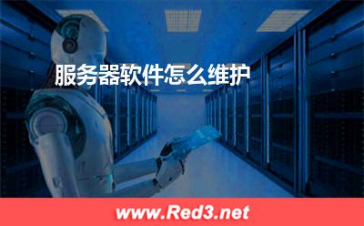 服务器:服务器软件怎么维护