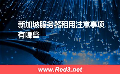 新加坡服务器租用注意事项有哪些