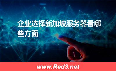 企业选择新加坡服务器看哪些方面