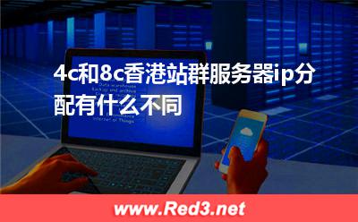香港站群服务器:4c和8c香港站群服务器ip分配有什么不同