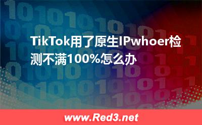 海外专线:TikTok用了原生IP,whoer检测不满100%怎么办