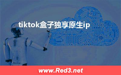 tiktok盒子:tiktok盒子独享原生ip
