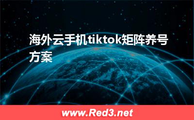 tiktok云手机：海外云手机tiktok矩阵养号方案