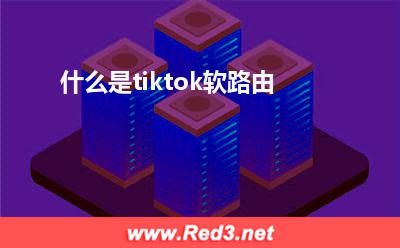 tiktok:什么是tiktok软路由