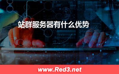 服务器:站群服务器有什么优势