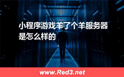 羊了个羊服务器:小程序游戏羊了个羊服务器是怎么样的